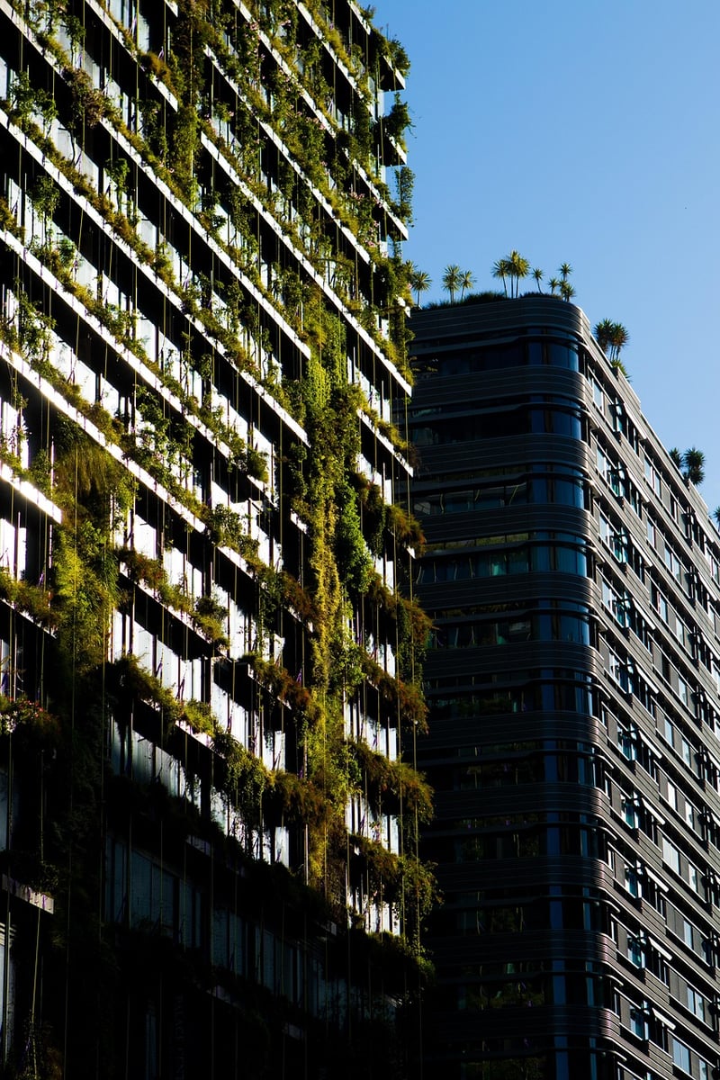 Hanging Plants
